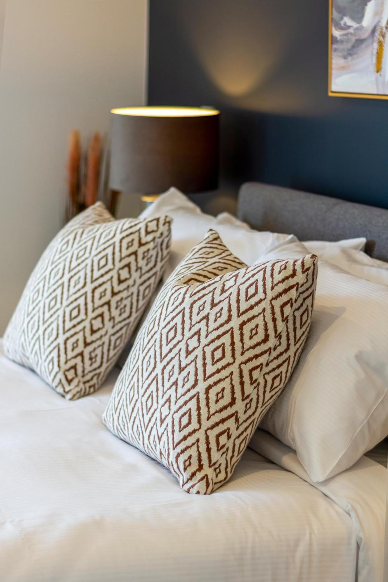 Cbd Luxury Homes Near Cafes Hagley Park River * Christchurch